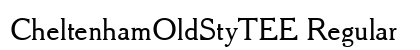 CheltenhamOldStyTEE Regular preview