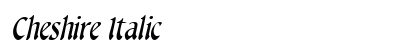 Cheshire Italic preview