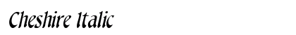 Cheshire Italic preview