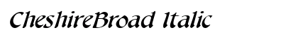 CheshireBroad Italic preview