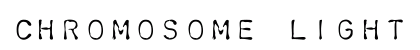 Chromosome Light Regular preview