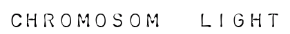 Chromosome Light Regular preview
