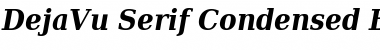 DejaVu Serif Condensed Font