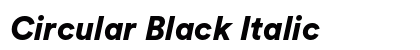 Circular Black Italic Preview