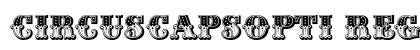 CIRcusCapsOpti Regular preview