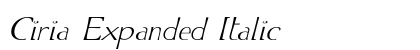 Ciria Expanded Italic Preview