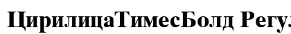 CirilicaTimesBold Regular preview