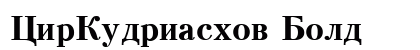 CirKudriashov Bold preview