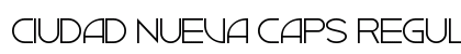 Ciudad Nueva CAPS Regular Preview