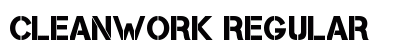 Cleanwork Regular preview