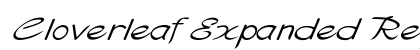 Cloverleaf Expanded Regular Preview