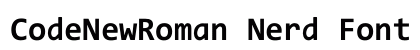 CodeNewRoman Nerd Font Bold preview