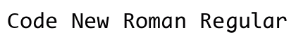 Code New Roman Regular preview