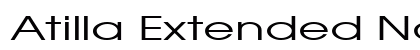 Atilla Extended Normal preview
