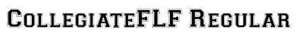 CollegiateFLF Regular preview