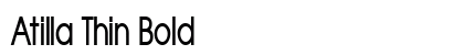 Atilla Thin Bold