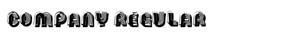 Company Regular Preview