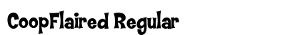 CoopFlaired Regular preview