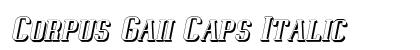 Corpus Gaii Caps Italic preview