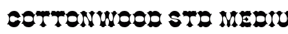 Cottonwood Std Medium preview