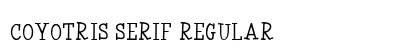 Coyotris Serif Regular preview