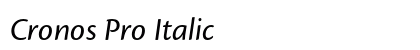 Cronos Pro Italic Preview