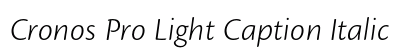 Cronos Pro Light Caption Italic Preview