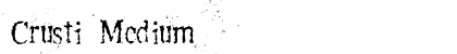 Crusti Medium preview