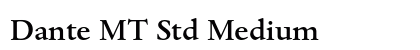 Dante MT Std Medium preview