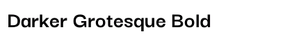 Darker Grotesque Bold preview
