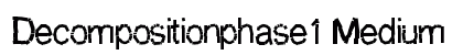 Decompositionphase1 Medium preview