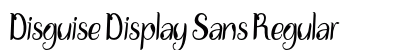 Disguise Display Sans Regular preview