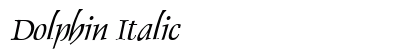 Dolphin Italic Preview