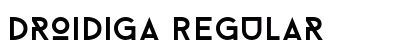 Droidiga Regular preview