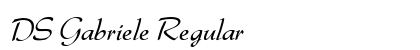 DS Gabriele Regular preview
