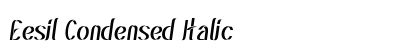 Eesil Condensed Italic preview