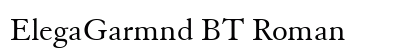 ElegaGarmnd BT Roman Preview