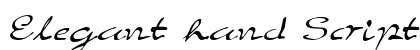 Elegant hand Script Regular preview