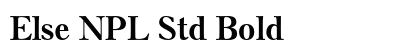 Else NPL Std Bold preview