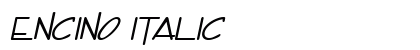 Encino Italic Preview