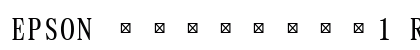 EPSON &#65535;&#65535;&#65535;&#65535;&#65535;&#65535;&#65535;&#770;l Regular preview