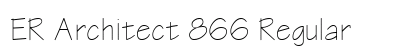 ER Architect 866 Regular preview