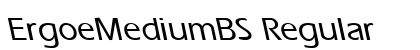 ErgoeMediumBS Regular preview