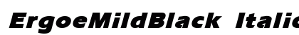ErgoeMildBlack Italic Preview