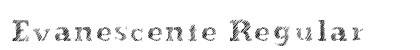 Evanescente Regular preview