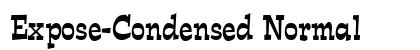 Expose-Condensed Normal Preview
