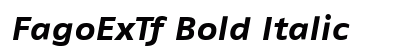 FagoExTf Bold Italic Preview
