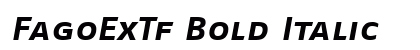 FagoExTf Bold Italic Preview