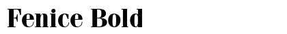 Fenice Bold preview