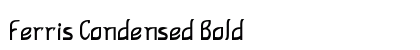 Ferris Condensed Bold Preview